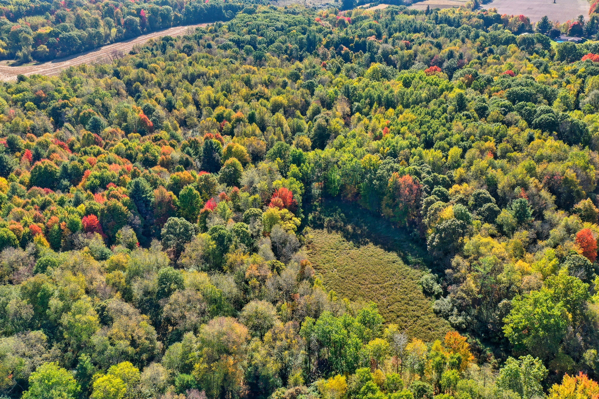 1765 Fleck Road Six Lakes, MI 48886 - Photo 6 of 32 30_a-21