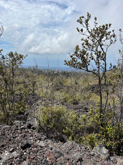 12 Lot Ocean View Ocean View, HI 96704 - Photo 2 of 5 a view of a garden with a fountain