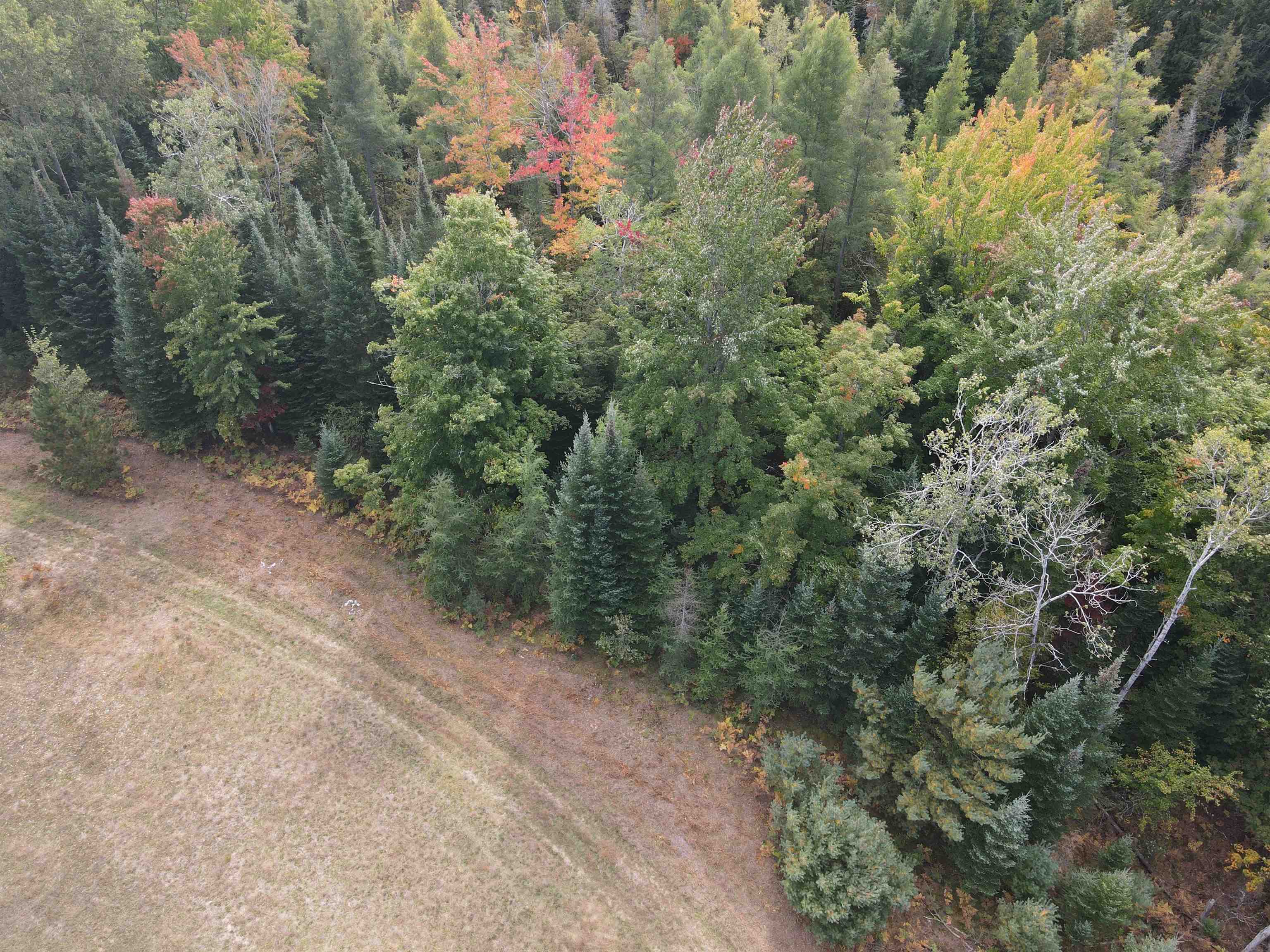 90 A Ridgeview Drive Kalkaska, MI 49646 - Photo 23 of 75