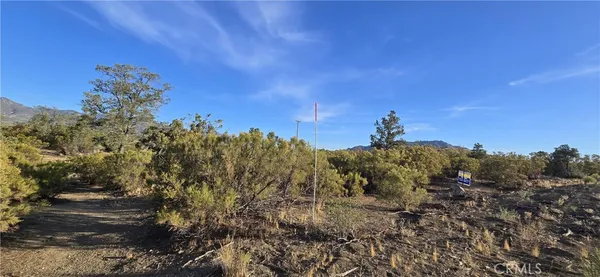 $20,000 | 64001 Palm Canyon Drive, Mountain Center, CA 92561