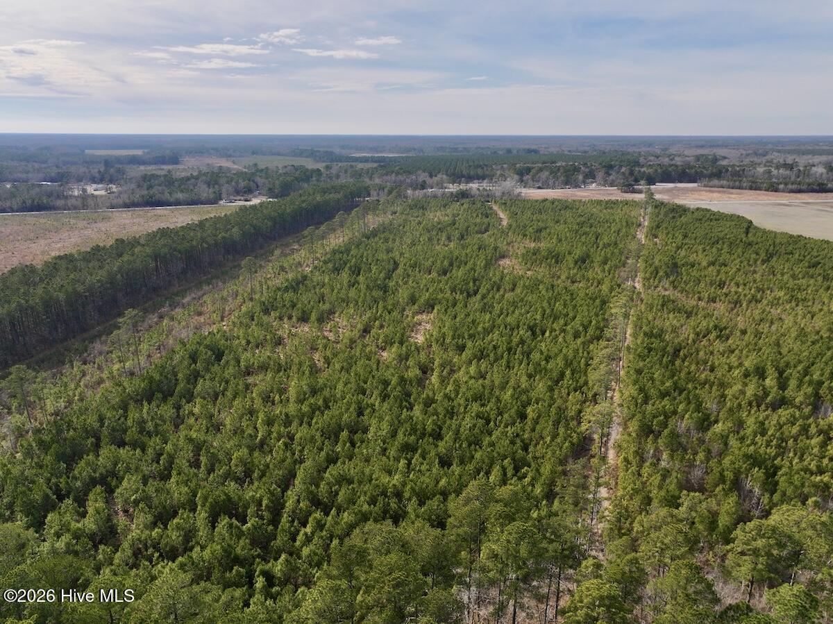 0 Old Washington Road Vanceboro, NC 28586 - Photo 6 of 34 6
