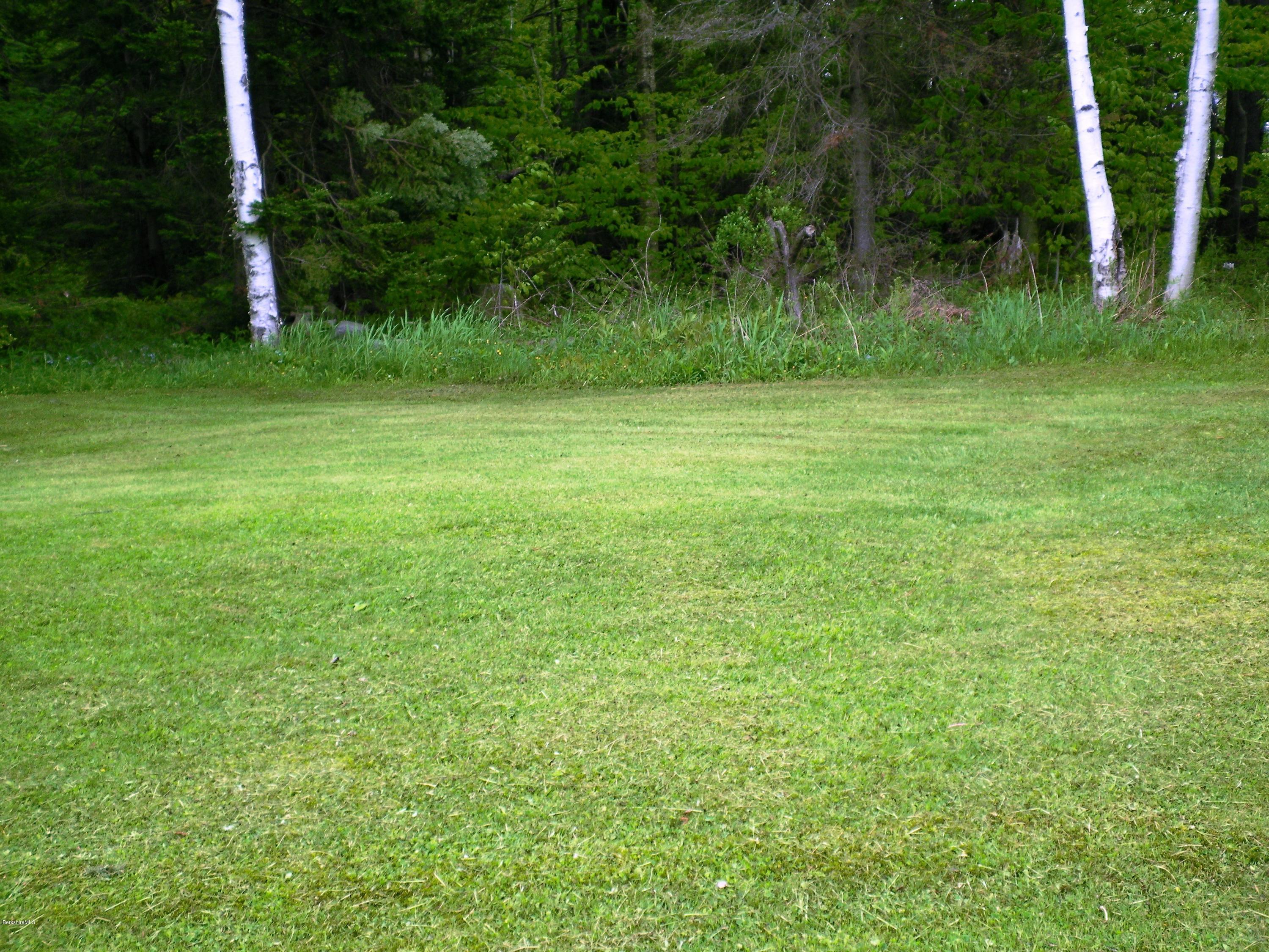 18 West Main Road Peru, MA 01235 - Photo 9 of 23 a view of a green field with a tree