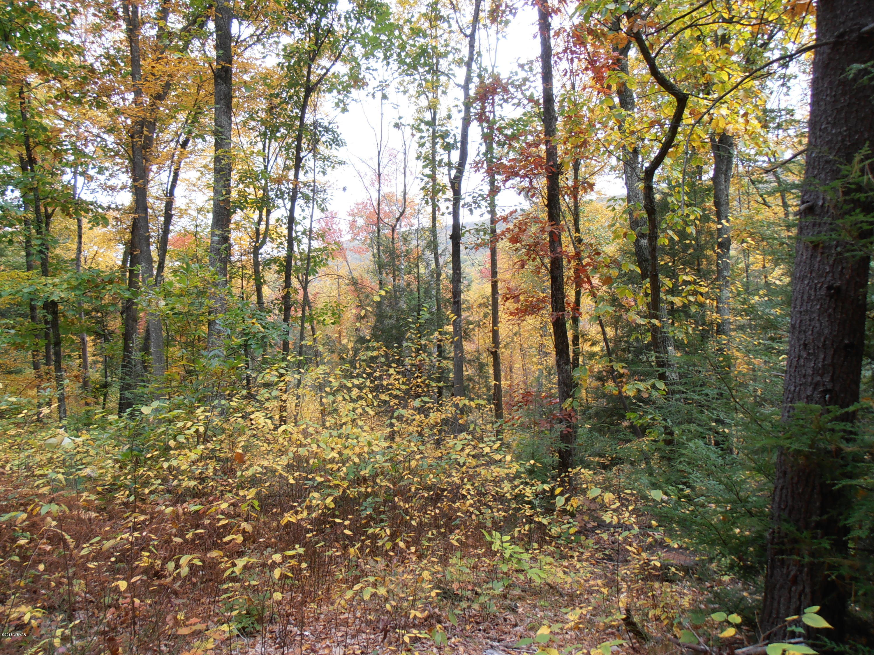 504 Furnace Run Road Jersey Shore, PA 17740 - Photo 16 of 36 PA140010