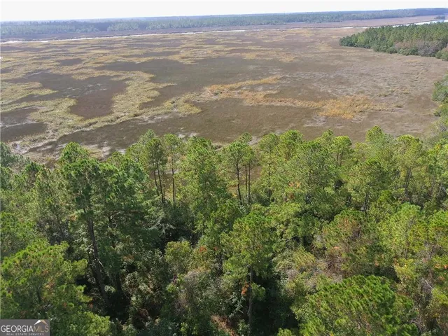 a view of an ocean and beach