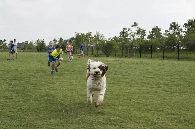 $375,000 | 31423 Splitting Willow Lane, Fulshear, TX 77441