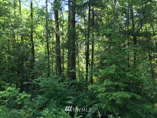 2300 Kelly Road Bellingham, WA 98226 - Photo 1 of 14 Gallery Image 1