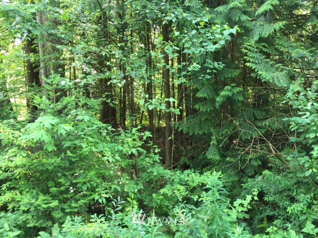 2300 Kelly Road Bellingham, WA 98226 - Photo 2 of 14 Gallery Image 2