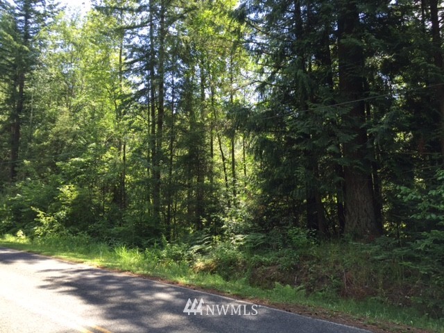 2300 Kelly Road Bellingham, WA 98226 - Photo 11 of 14 Gallery Image 11