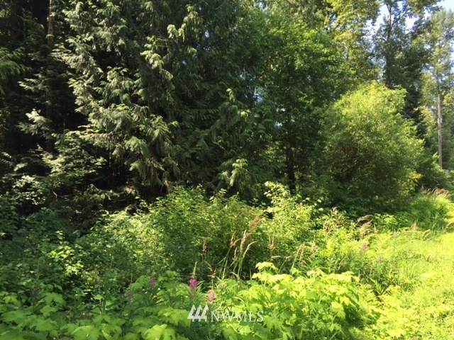 2300 Kelly Road Bellingham, WA 98226 - Photo 3 of 14 Gallery Image 3