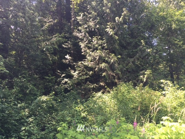 2300 Kelly Road Bellingham, WA 98226 - Photo 5 of 14 Gallery Image 5