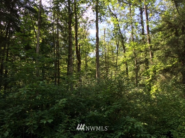 2300 Kelly Road Bellingham, WA 98226 - Photo 8 of 14 Gallery Image 8