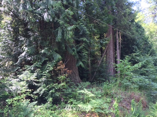 2300 Kelly Road Bellingham, WA 98226 - Photo 9 of 14 Gallery Image 9
