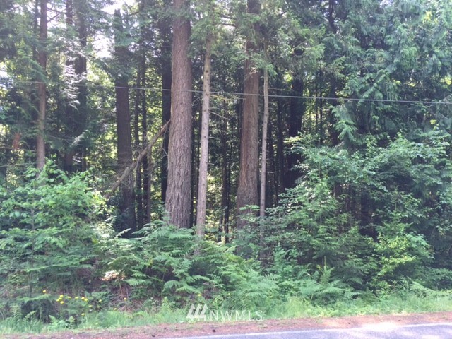 2300 Kelly Road Bellingham, WA 98226 - Photo 10 of 14 Gallery Image 10