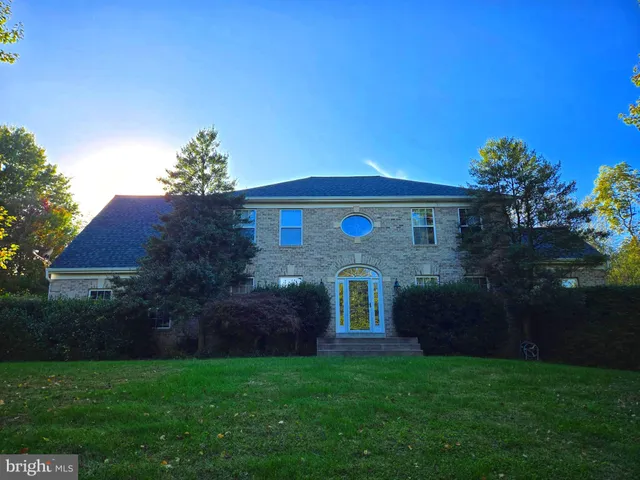a view of a lush green space