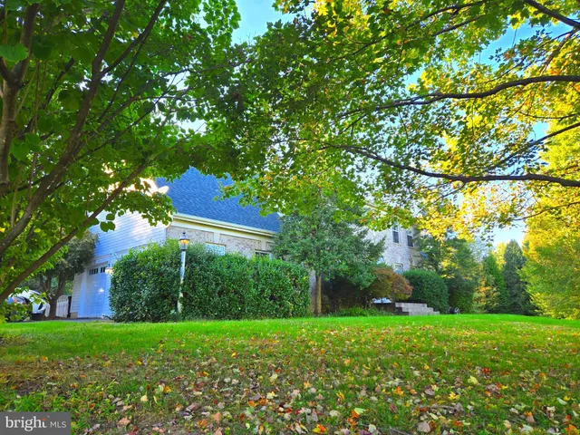 a view of field with trees in the background