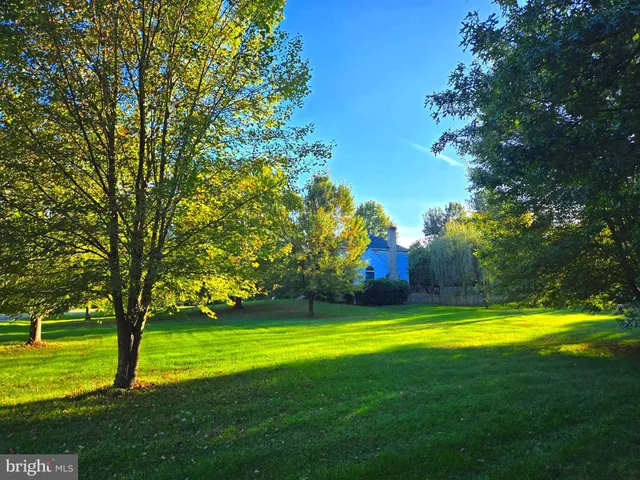 a view of entryway livingroom and hall with wooden floor