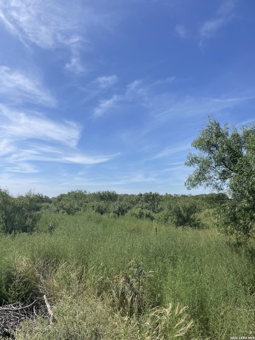 14150 Meadowview Drive Lytle, TX 78052 - Photo 4 of 5 a view of a field with an trees