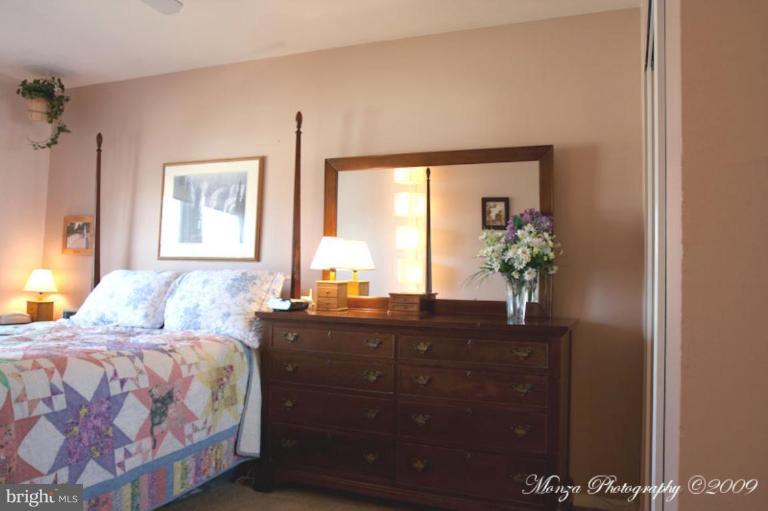 1333 Greyswood Road Odenton, MD 21113 - Photo 5 of 12 Master Bedroom #2