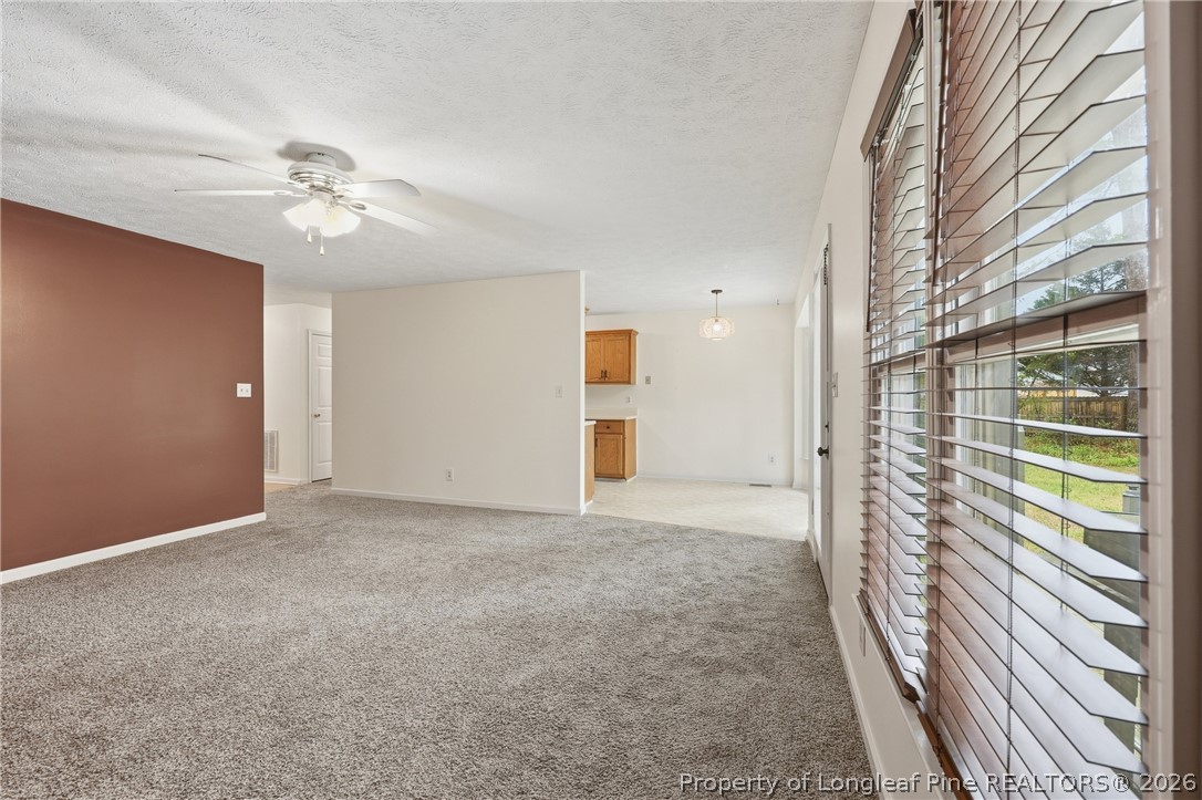 207 Cobblestone Court Raeford, NC 28376 - Photo 24 of 35 en view interior of the house