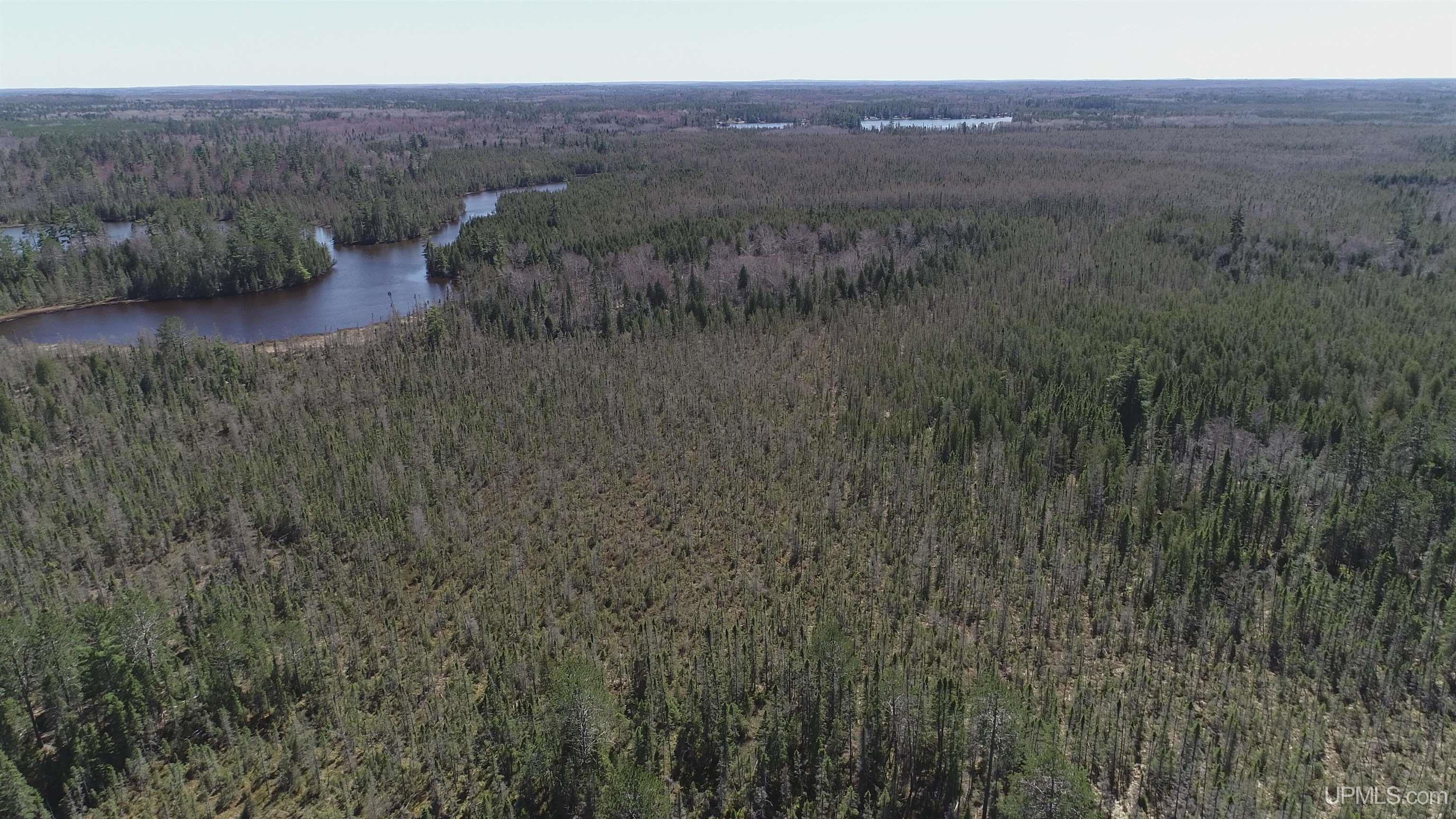 252-acres 252-acres Helen Lake Road Ishpeming, MI 49849 - Photo 7 of 11