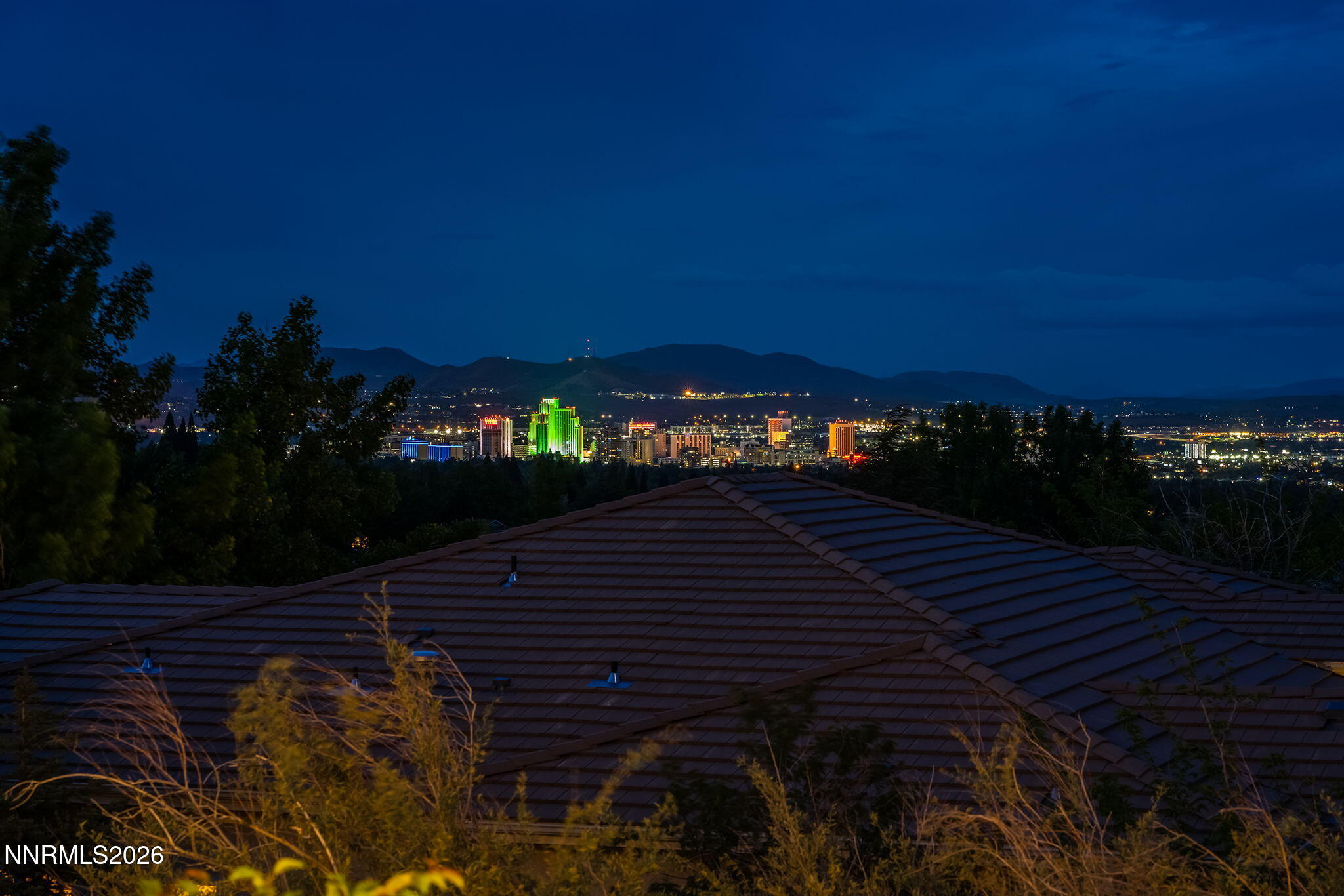2475 Manzanita Lane Reno, NV 89509 - Photo 40 of 46 58-web-or-mls-_DSC0332