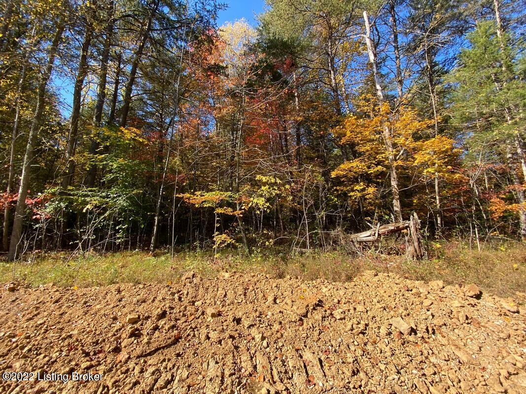 L3 Ted Logsdon Road Clarkson, KY 42726 - Photo 11 of 24 River View 101322210