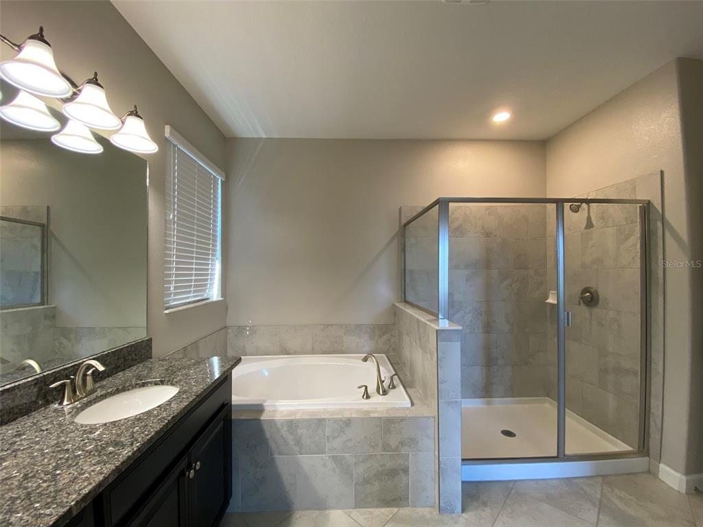 10049 Victory Gallop Loop Ruskin, FL 33573 - Photo 17 of 22 a bathroom with a granite countertop bathtub a sink and mirror