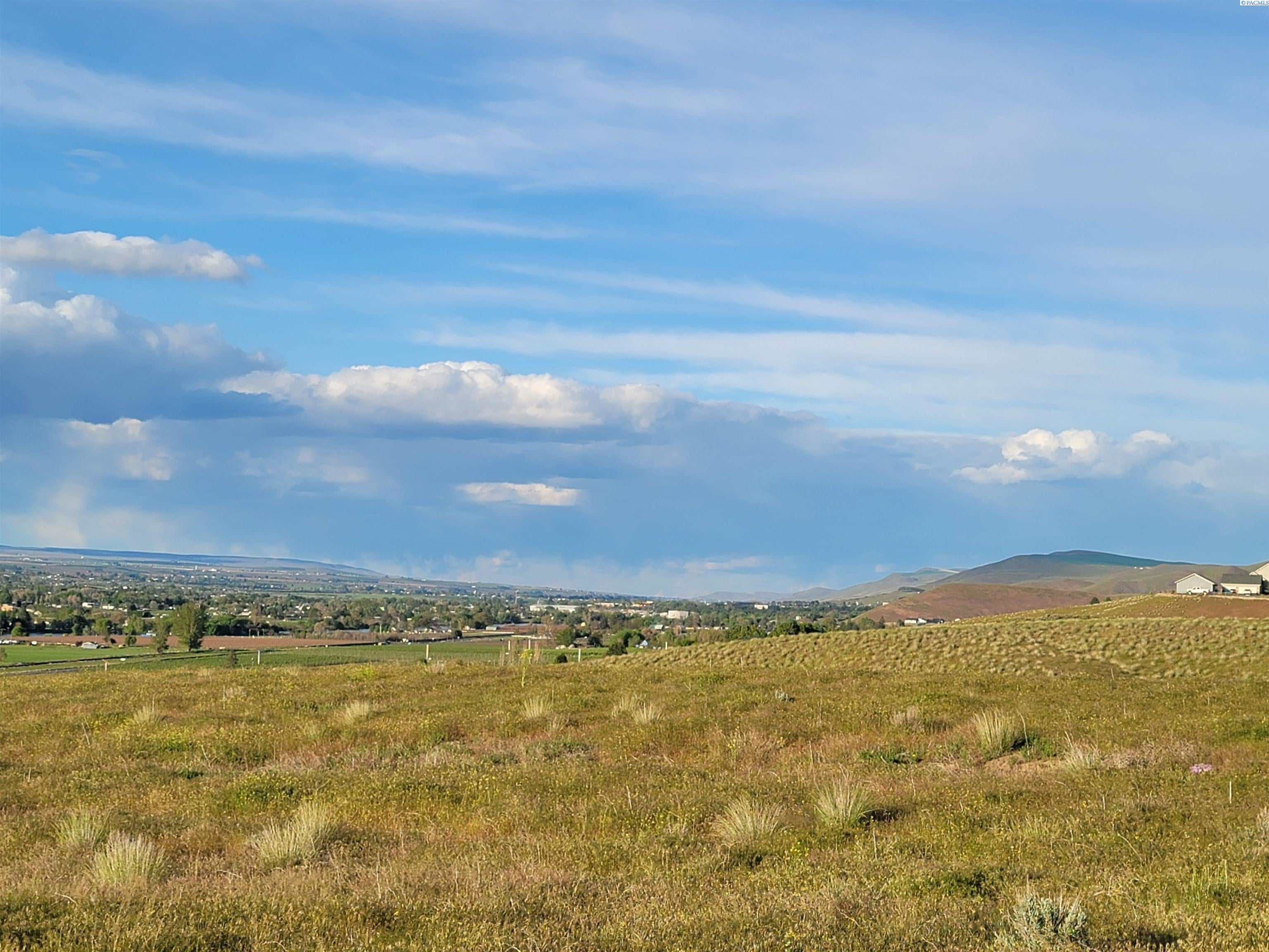 Lot 4-surv Ward Gap Road Prosser, WA 99350 - Photo 7 of 25 Gallery Image 7