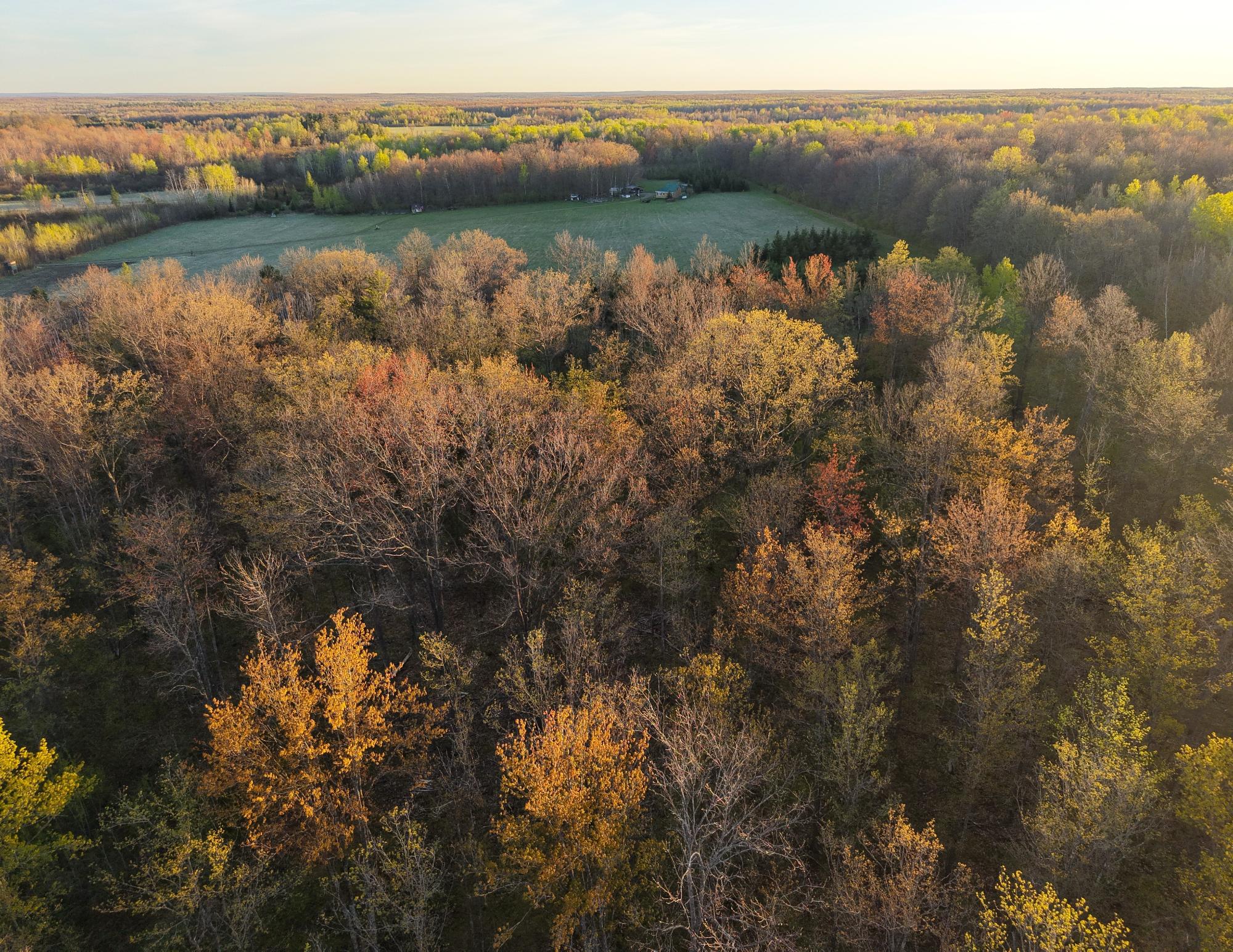 N7898 Fedyn Road Ladysmith, WI 54848 - Photo 85 of 93