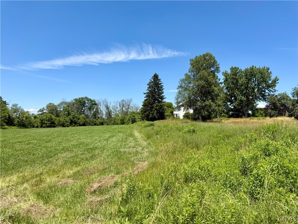 195 Cortland Road Dryden, NY 13053 - Photo 22 of 25