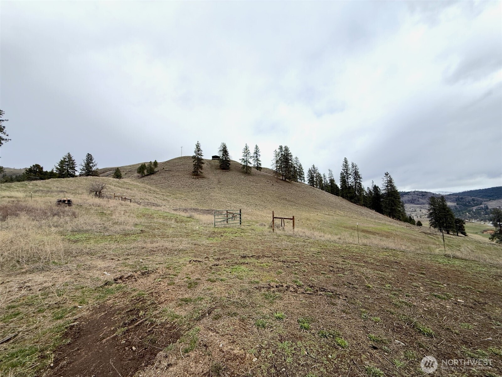 0 Cottonwood Creek Road Curlew, WA 99118 - Photo 15 of 16