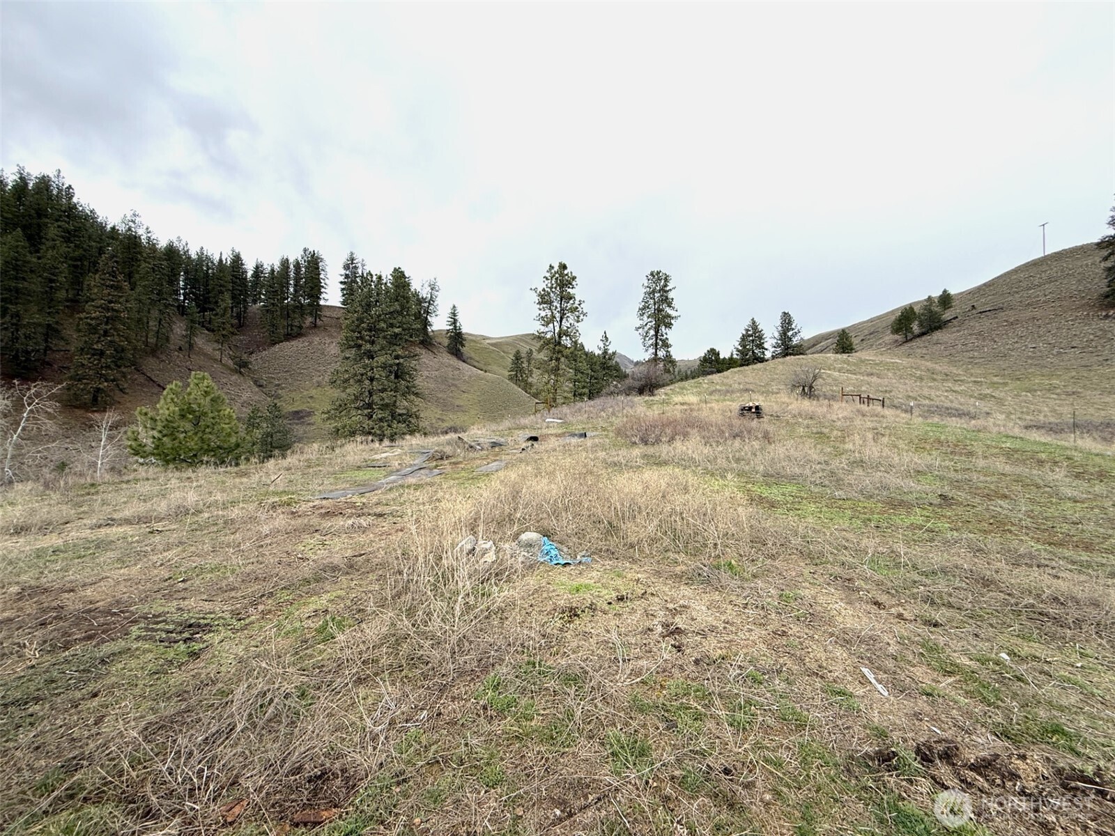 0 Cottonwood Creek Road Curlew, WA 99118 - Photo 16 of 16