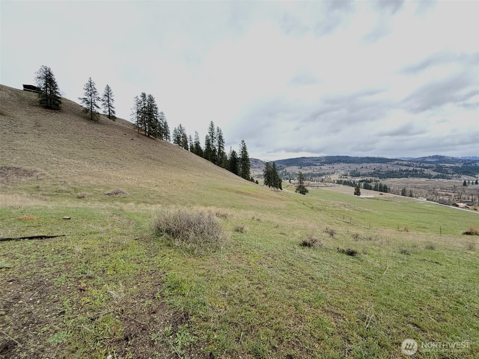 0 Cottonwood Creek Road Curlew, WA 99118 - Photo 2 of 16