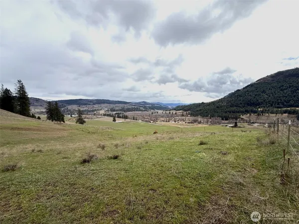 a view of a field with an ocean