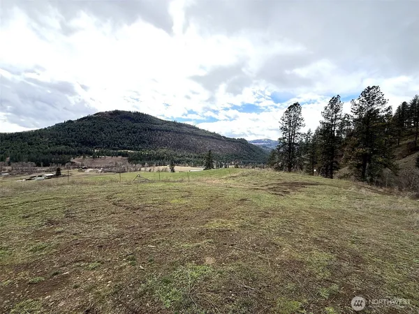 a view of a field with an ocean