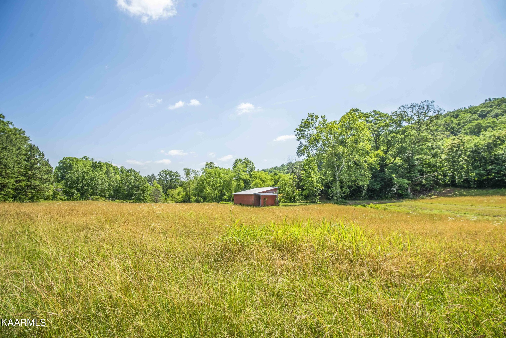 122 Gallaher Road Kingston, TN 37763 - Photo 44 of 59