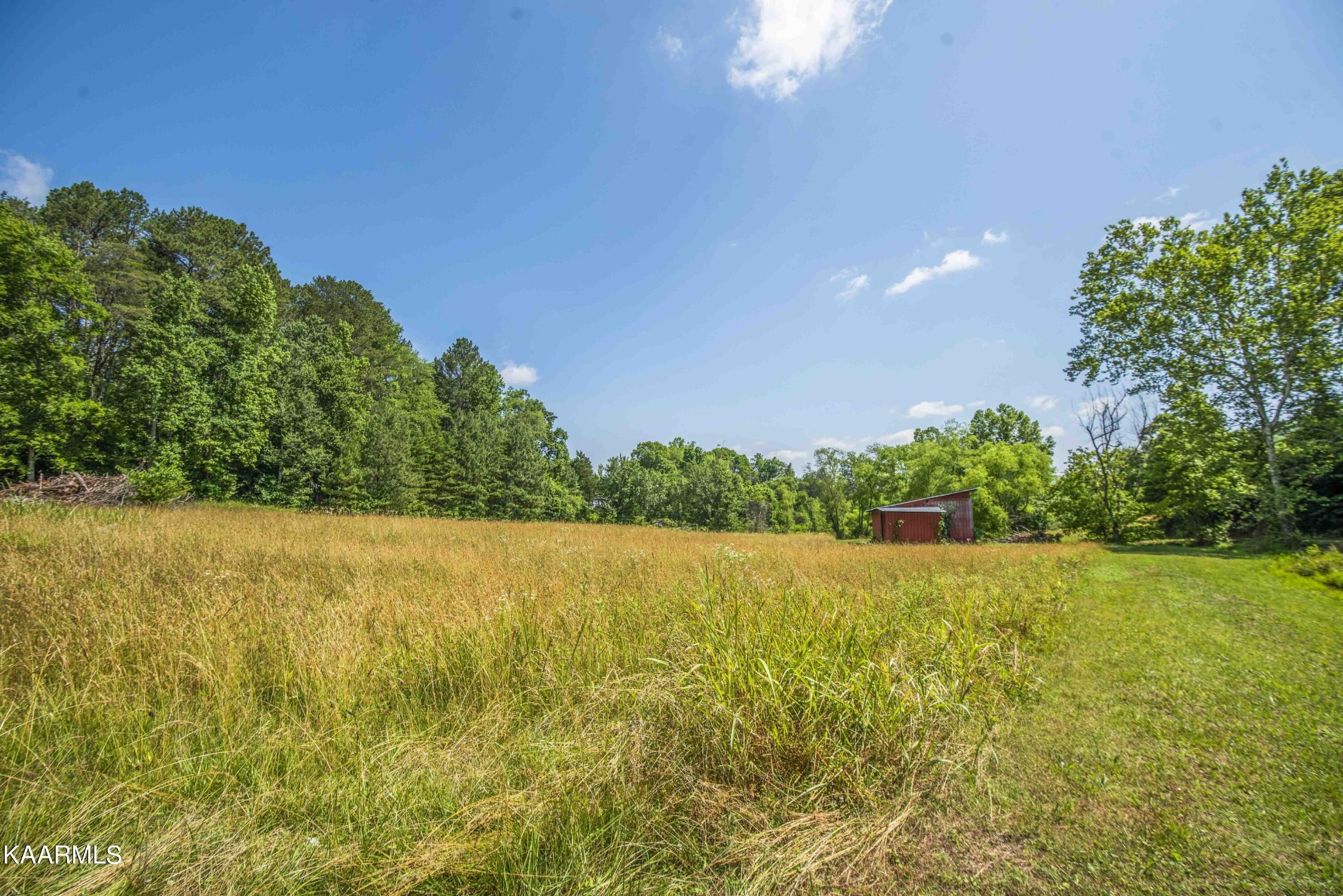 122 Gallaher Road Kingston, TN 37763 - Photo 46 of 59