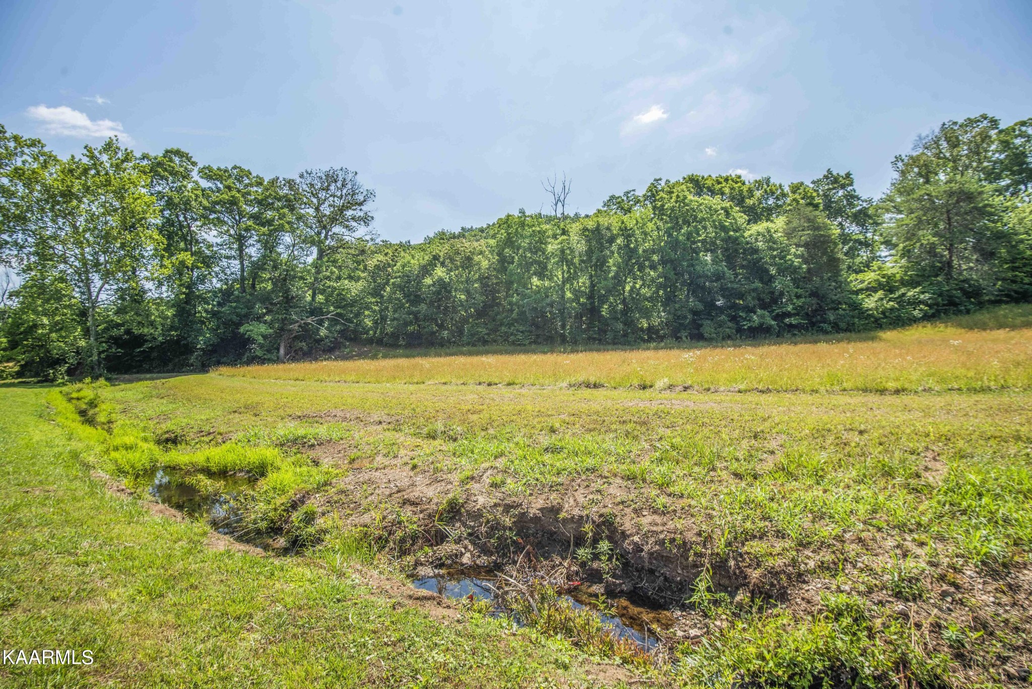 122 Gallaher Road Kingston, TN 37763 - Photo 48 of 59