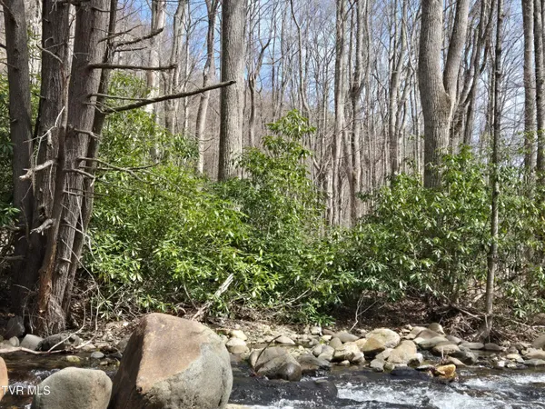 $150,000 | 326 Cove Creek Road, Roan Mountain, TN 37687