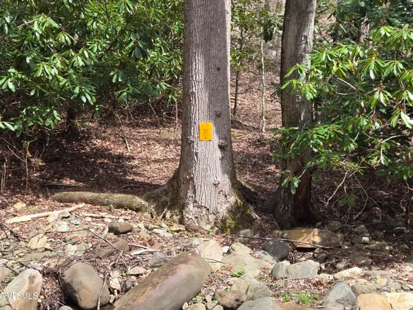 $150,000 | 326 Cove Creek Road, Roan Mountain, TN 37687