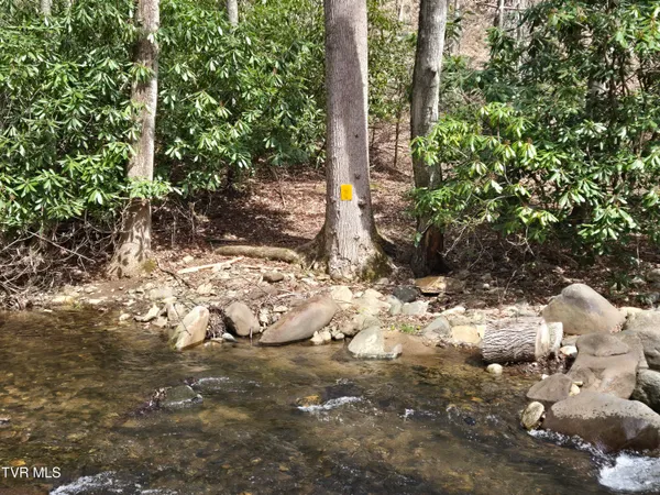 $150,000 | 326 Cove Creek Road, Roan Mountain, TN 37687