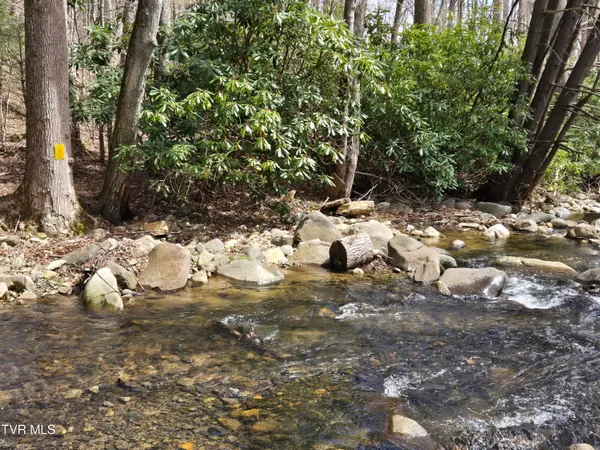 $150,000 | 326 Cove Creek Road, Roan Mountain, TN 37687