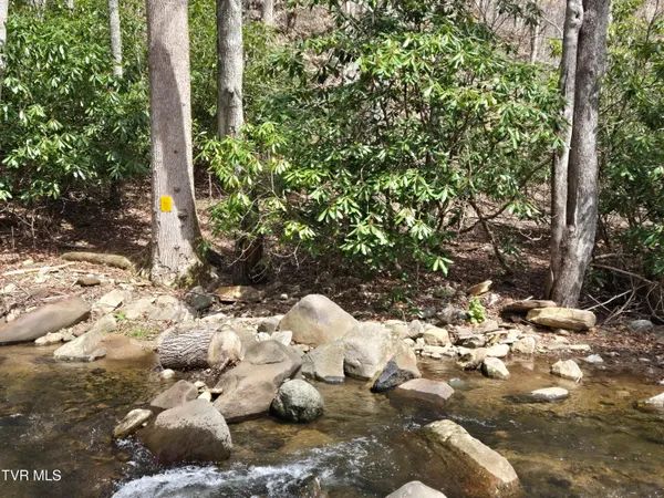 $150,000 | 326 Cove Creek Road, Roan Mountain, TN 37687