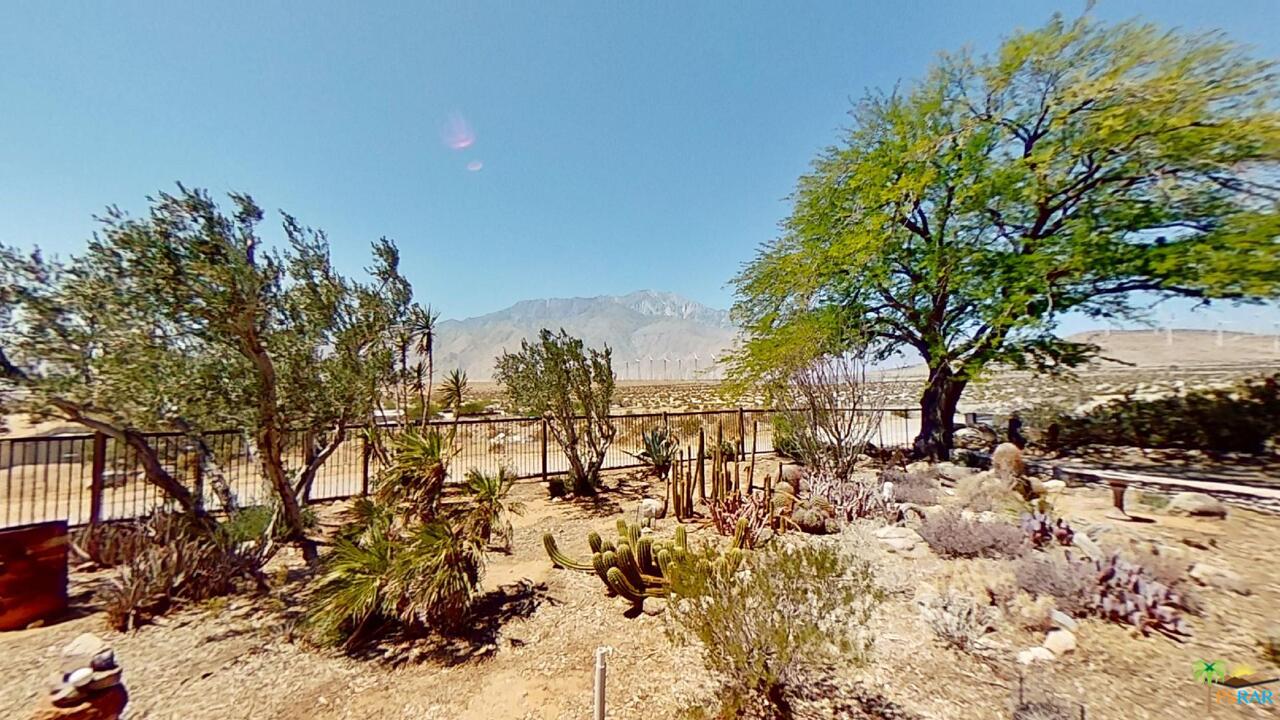 61612 Sagebrush Road North Palm Springs, CA 92258 - Photo 27 of 30 a view of a large yard with lots of tall trees
