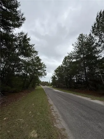 $21,000 | Tbd Malauka Track, Ocklawaha, FL 32179