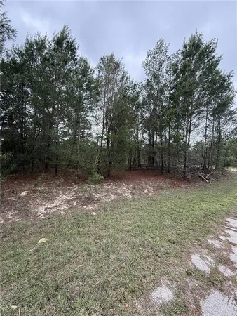 $21,000 | Tbd Malauka Track, Ocklawaha, FL 32179
