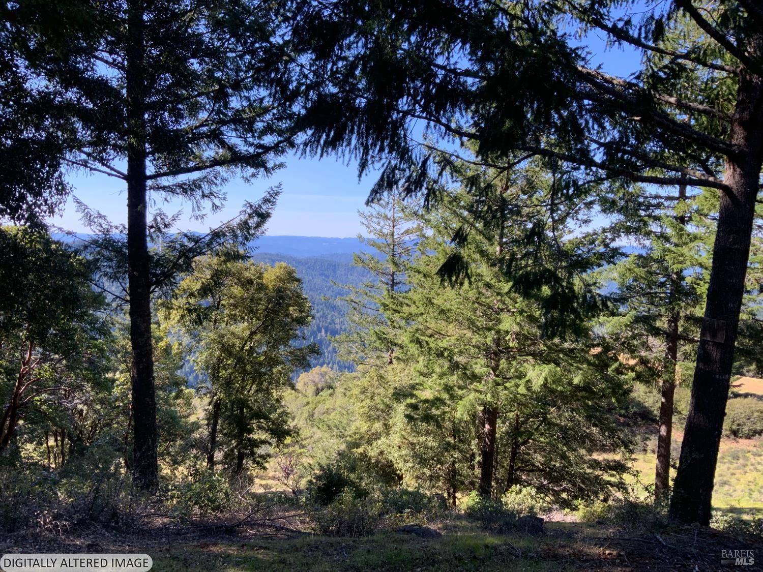 10225 Low Gap Road Ukiah, CA 95482 - Photo 11 of 14