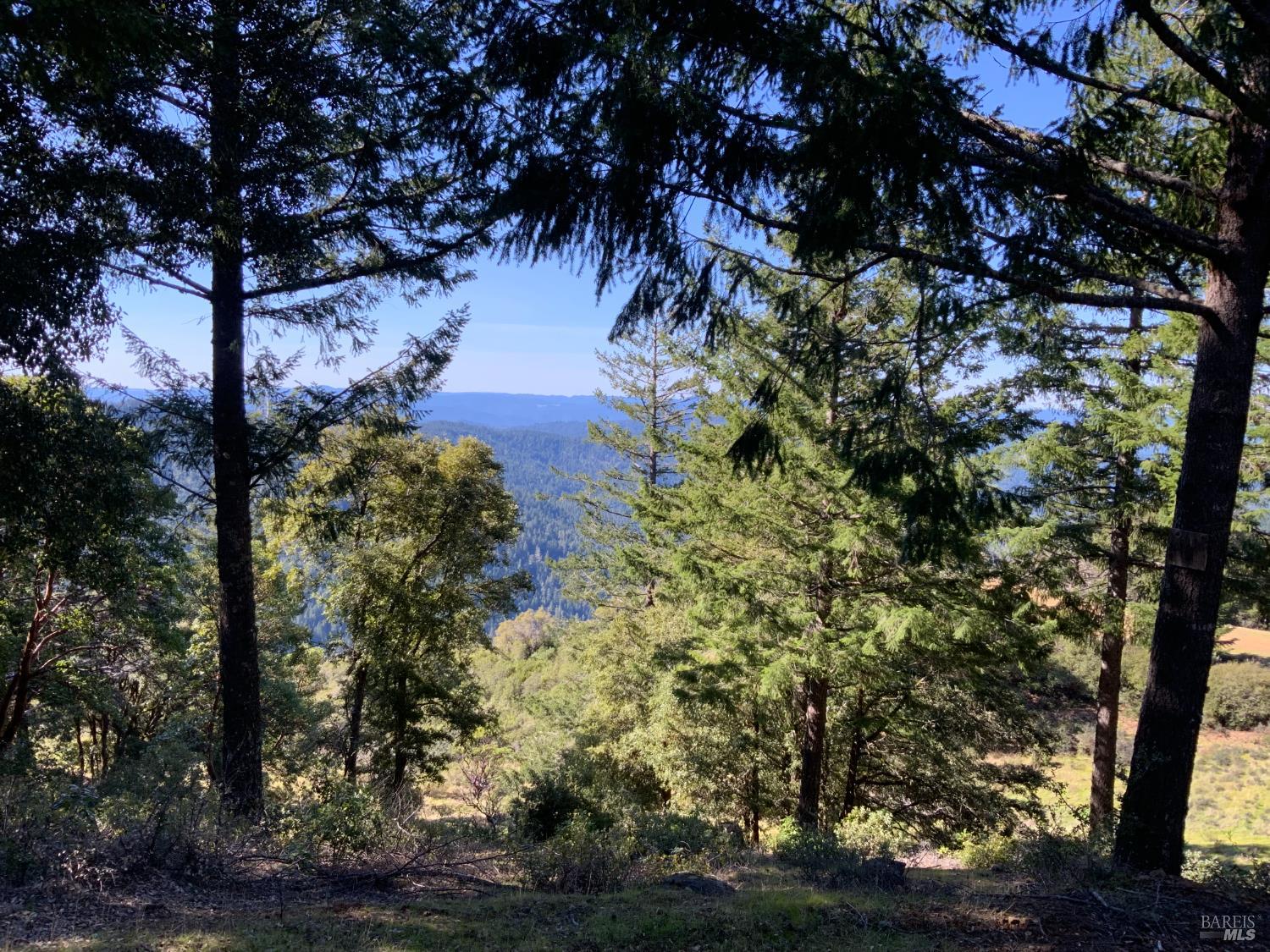 10225 Low Gap Road Ukiah, CA 95482 - Photo 13 of 18