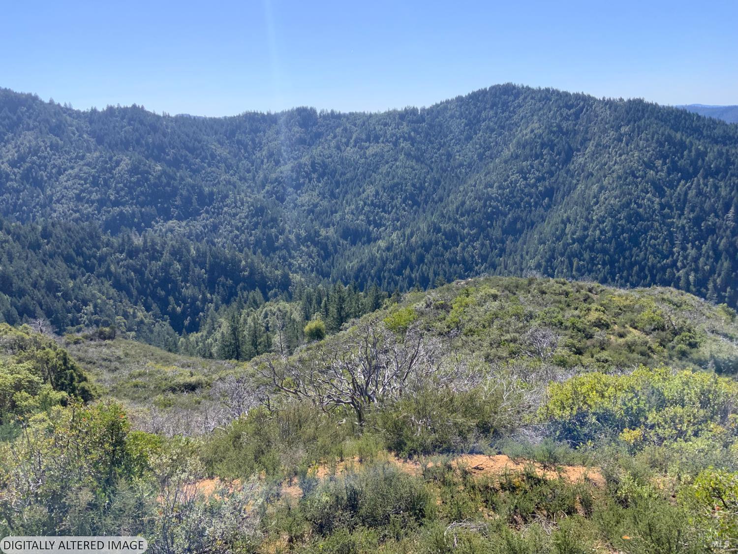 10225 Low Gap Road Ukiah, CA 95482 - Photo 3 of 14