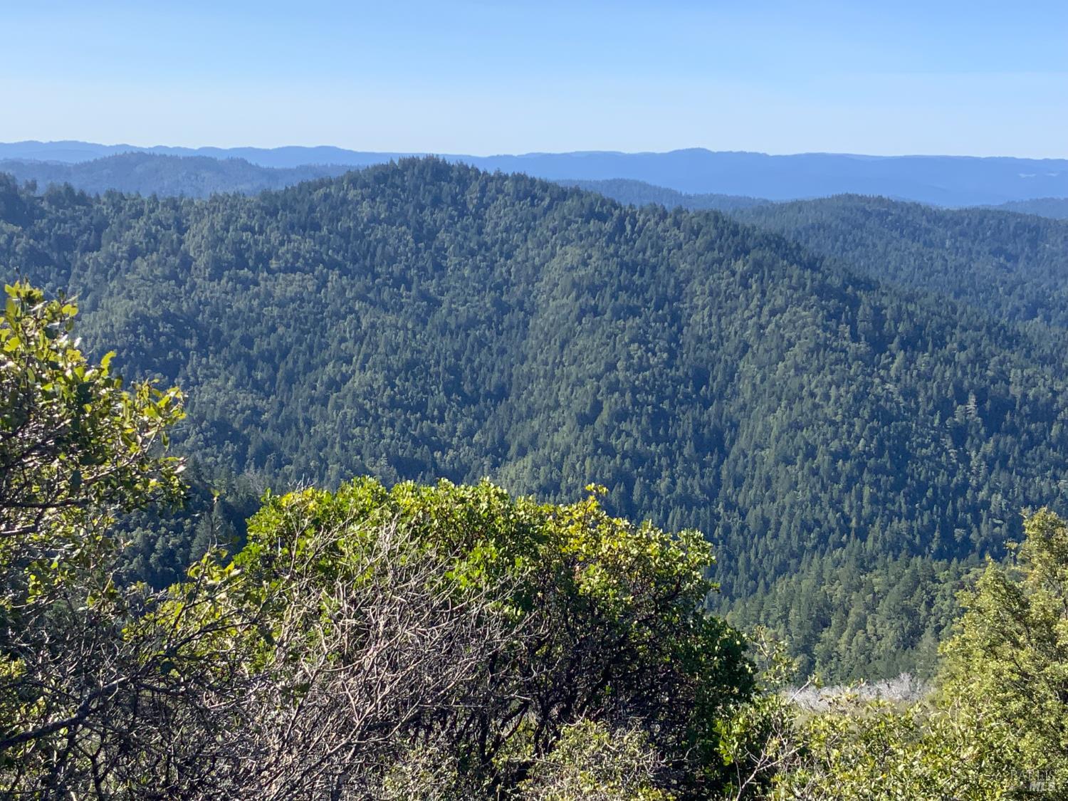 10225 Low Gap Road Ukiah, CA 95482 - Photo 3 of 18
